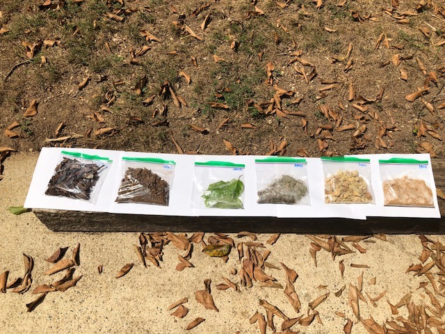 six ziploc bags on white paper outside in the sun