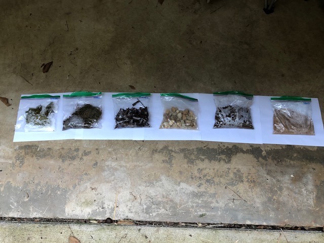 six labeled ziploc bags on white paper in shaded spot