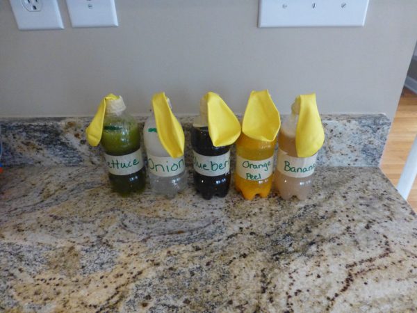 bottles in a row