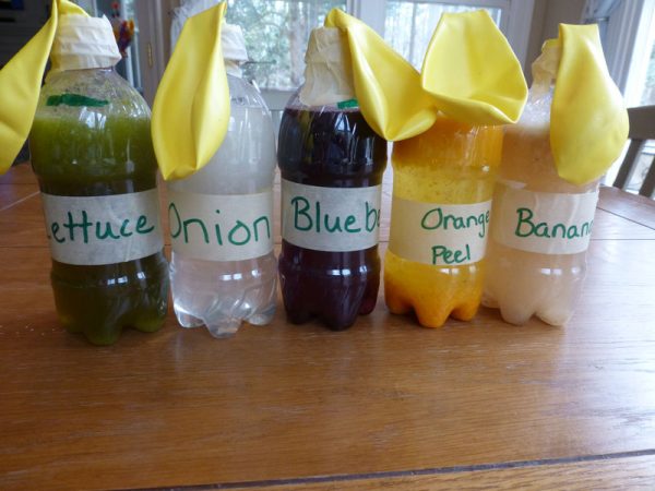 bottles with balloons