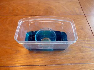 bowl with blue water and glass