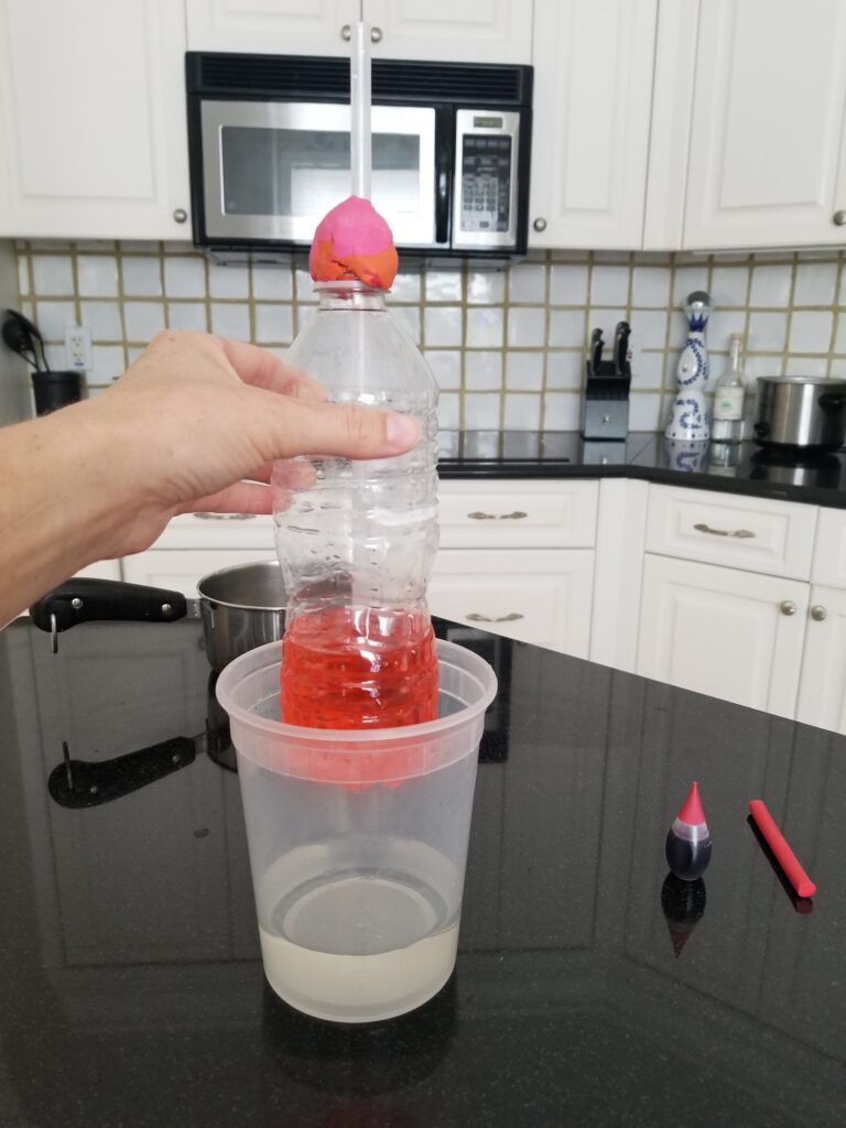 placing plastic water bottle with red liquid in container with hot water