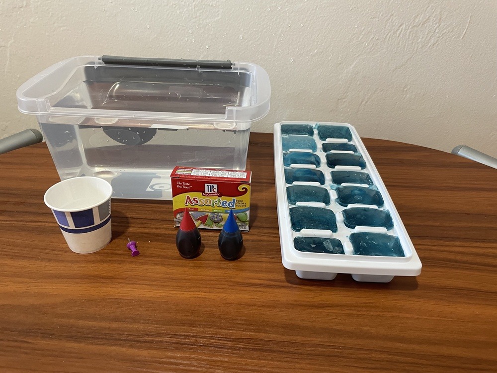 Container of water, tray of blue ice cubes, red and blue dye