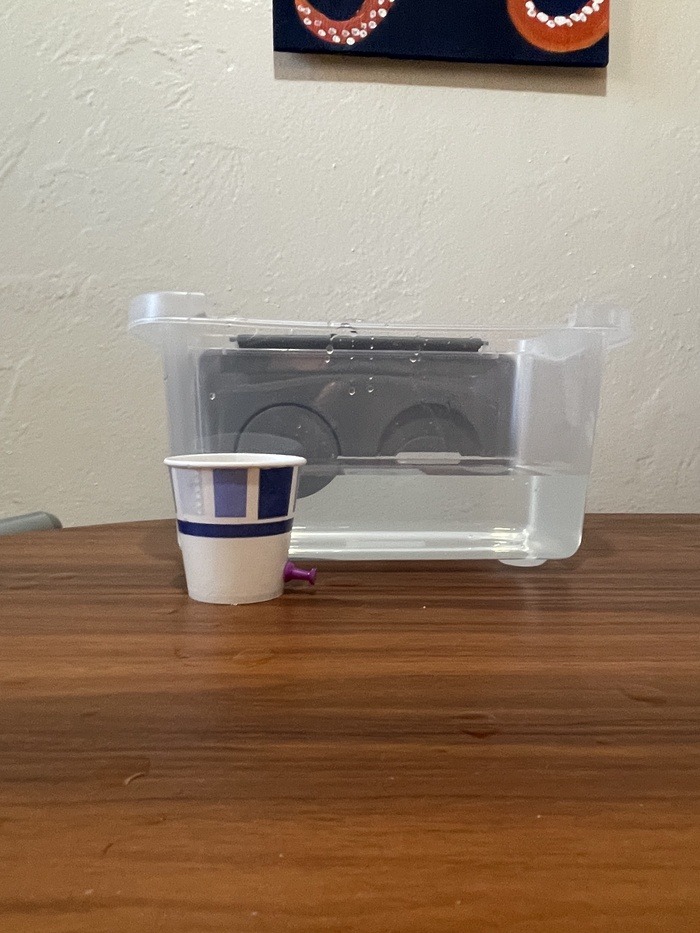 Cup sitting in front of a plastic container of water