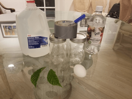 acid rain experiment materials