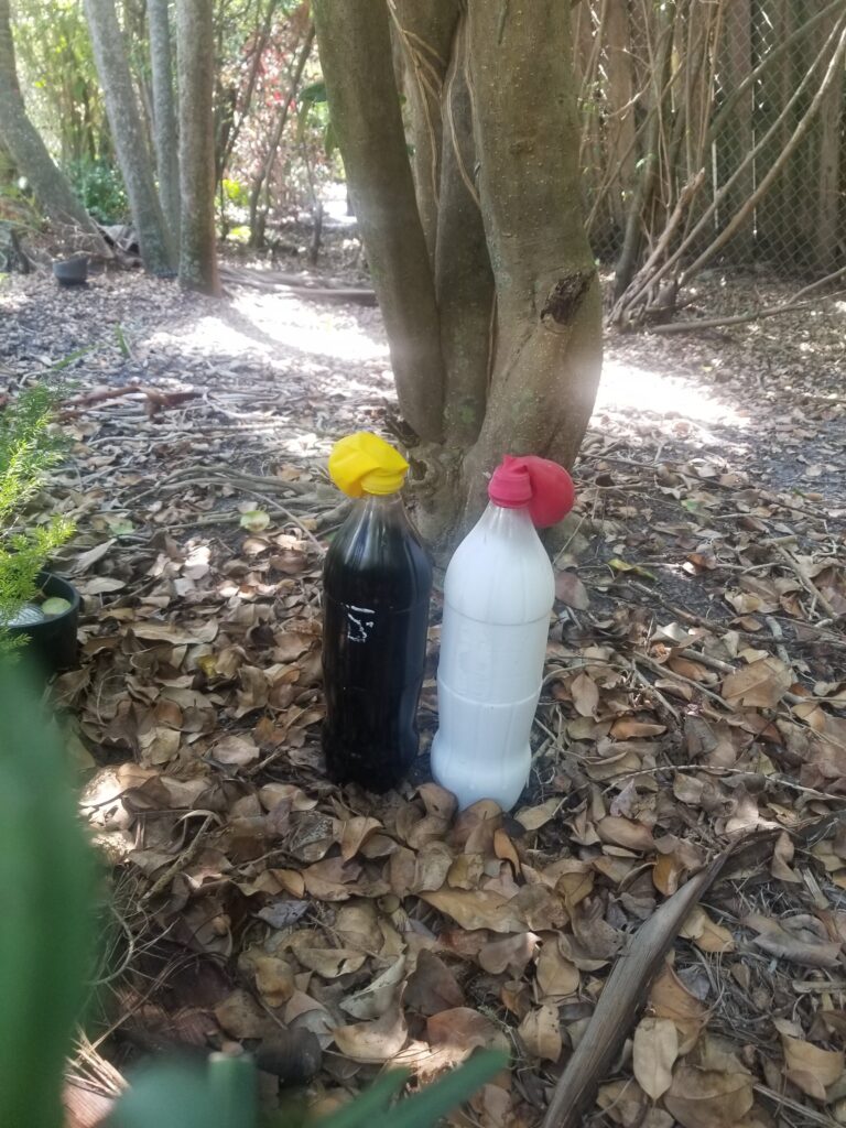 bottles outside