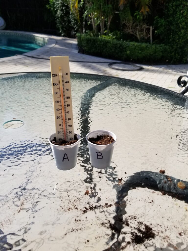 two cups with thermometer