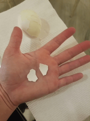 two equal sized egg shell pieces