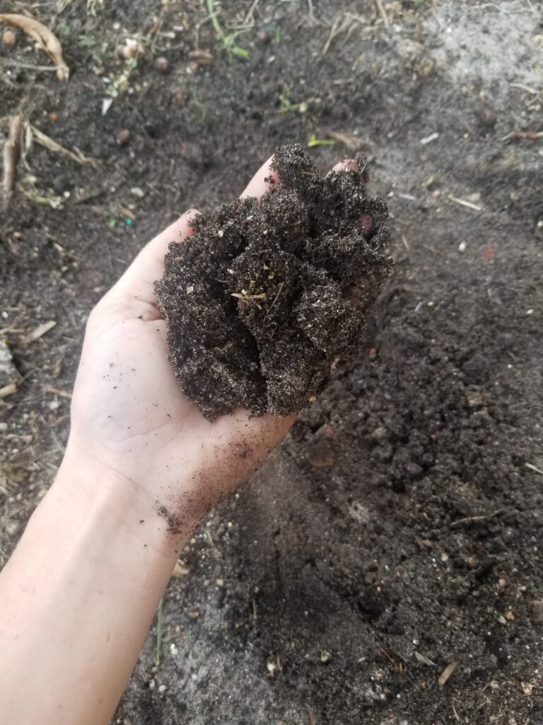 image of hand full of soil