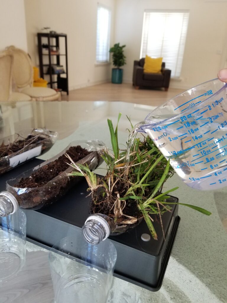 pouring water into plastic bottle with grass