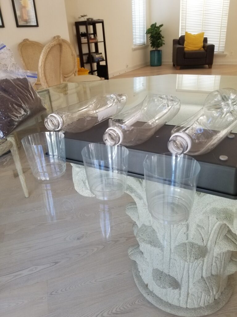 three small cups under plastic bottles