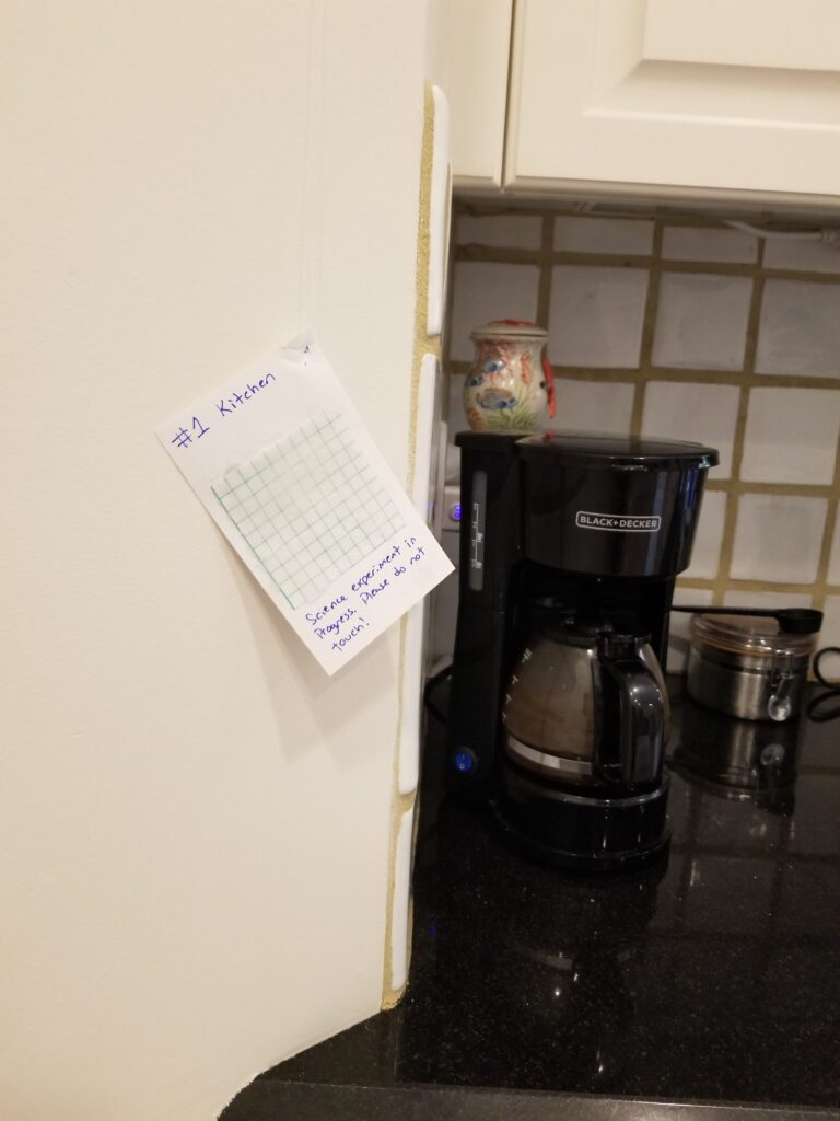 paper and grid paper taped to kitchen wall