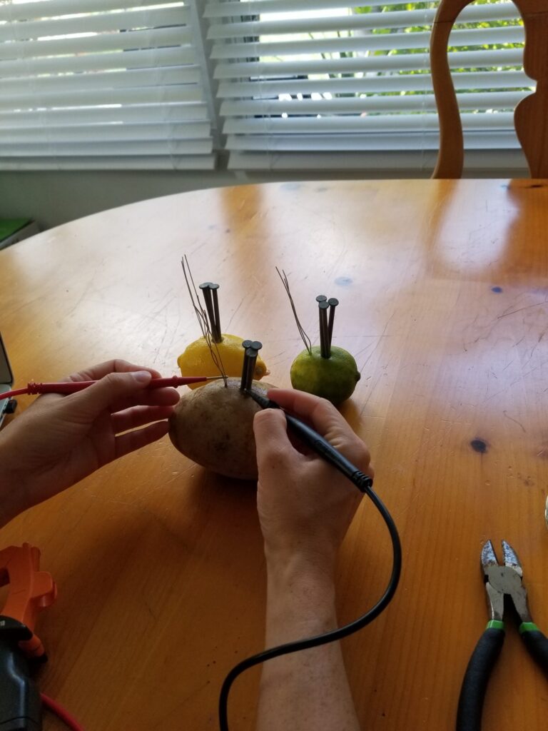 testing potato battery